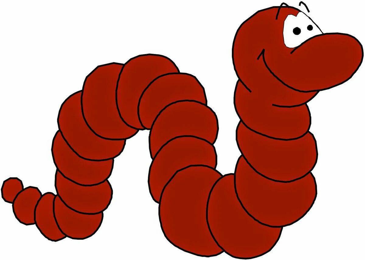 Звук червяков. Worms черви. Червь на белом фоне.