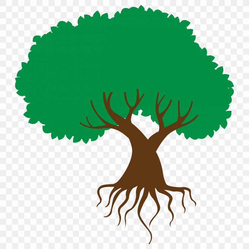 Корни дерева. Дерево с корнями и кроной. Дерево с корнями для детей. Дерево иллюстрация. Корни картинка для детей