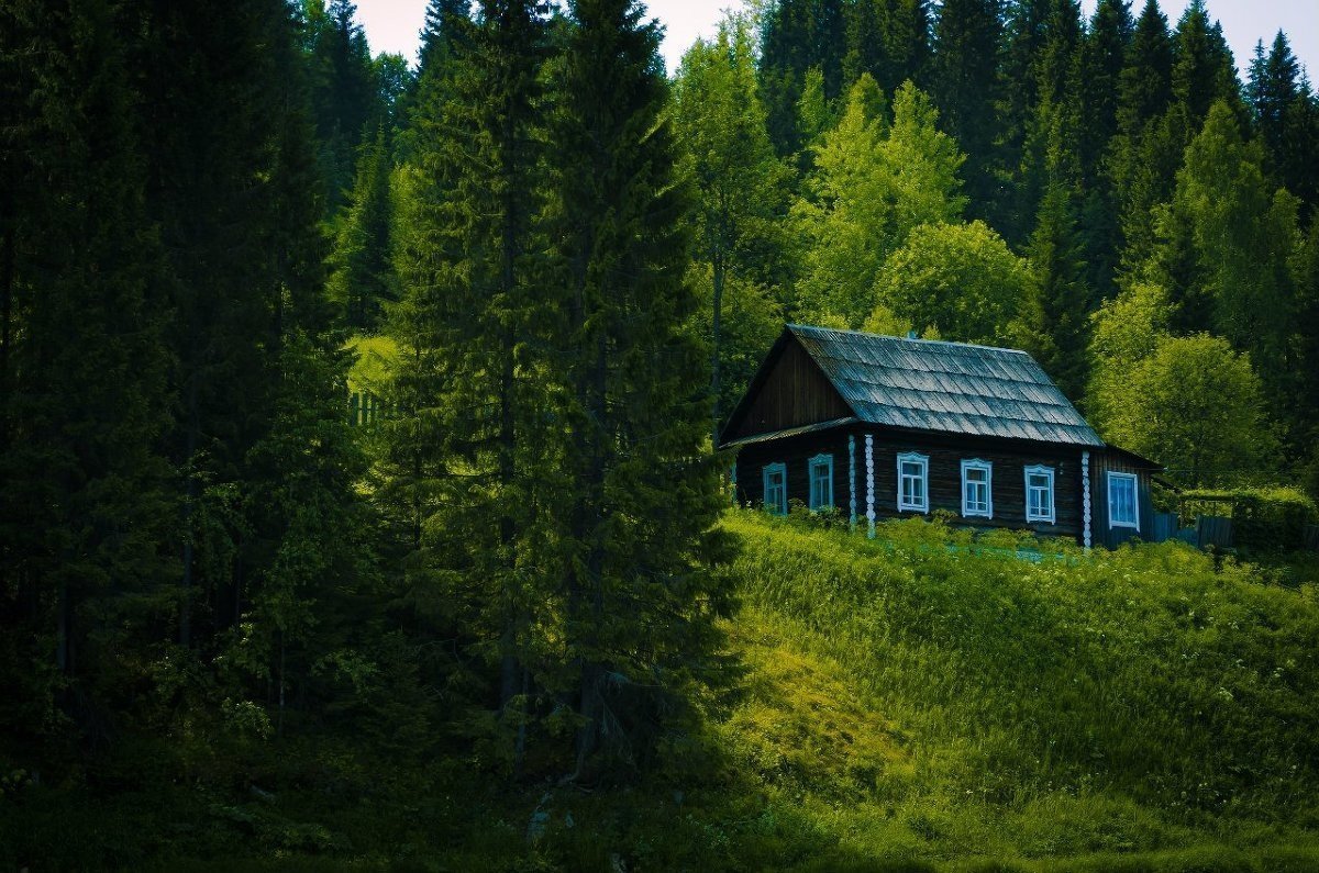 Домик на самой окраине песня. Лесная Хижина Финляндия. Боровецкий лес дом отшельника. Шварцвальд дом в лесу. Дом лесника Сибиряк.