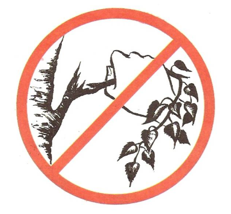 Не ломать деревья