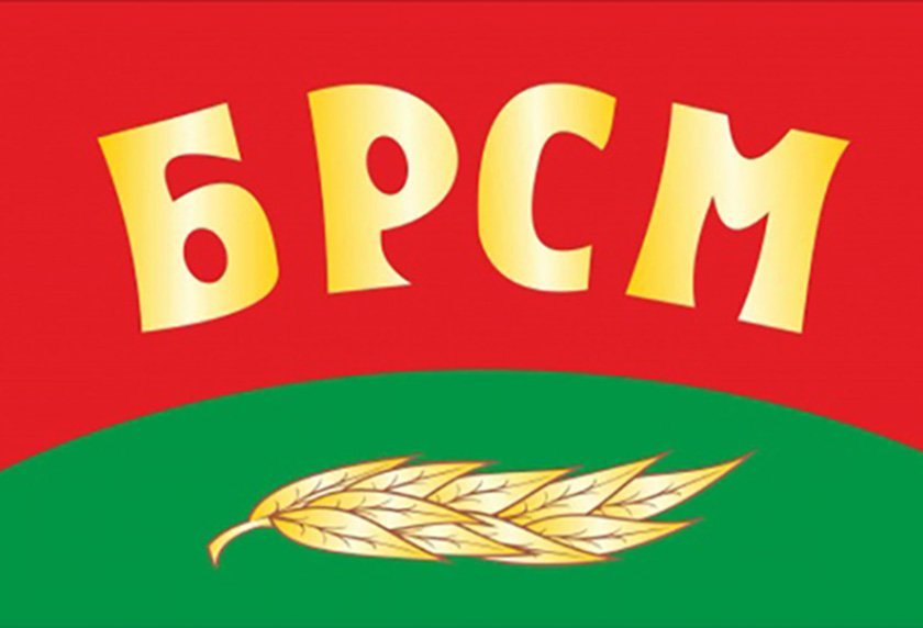 БРСМ «белорусский Республиканский Союз молодежи». БРСМ логотип. Флаг БРСМ. Эмблема БРСМ новая.
