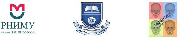 Пирогова эмблема