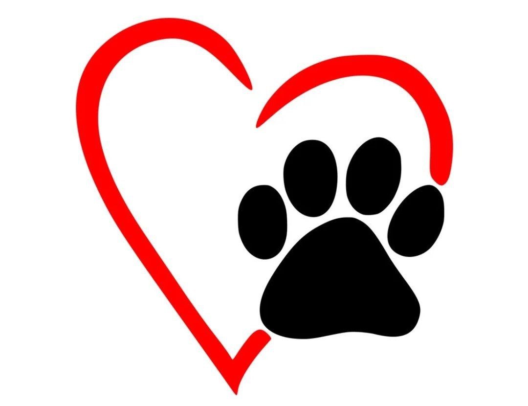 Лапы собаки и кошки. Лапка с сердечком. Кошачья лапка с сердечком. Лапа в сердце. Собачка с сердечком.