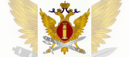 Эмблема ФСИН России прозрачный