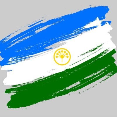 Башкирский флаг вектор