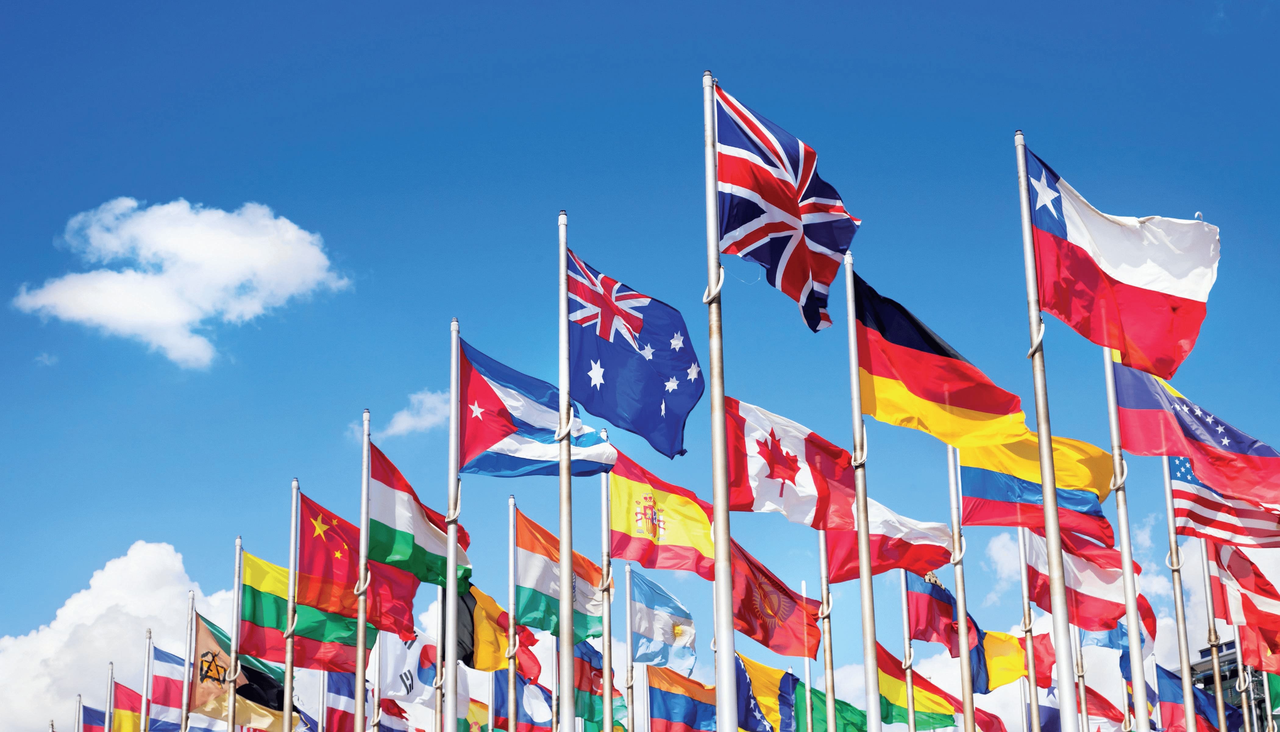 Int co. Иностранные государства. Международное сотрудничество. Флаги разных стран. Много флагов разных стран.