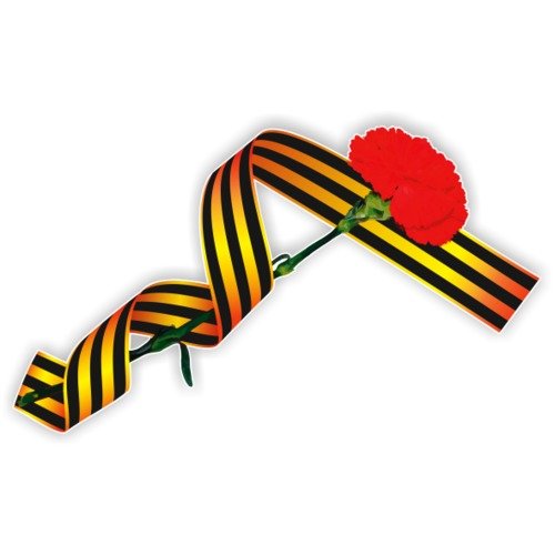 Георгиевская лента с гвоздикой