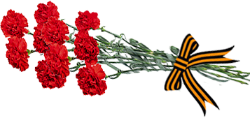 Гвоздики на белом фоне на 9 мая