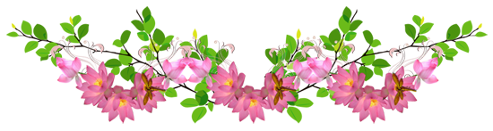 Цветочная гирлянда на белом фоне