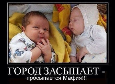 Просыпается мафия