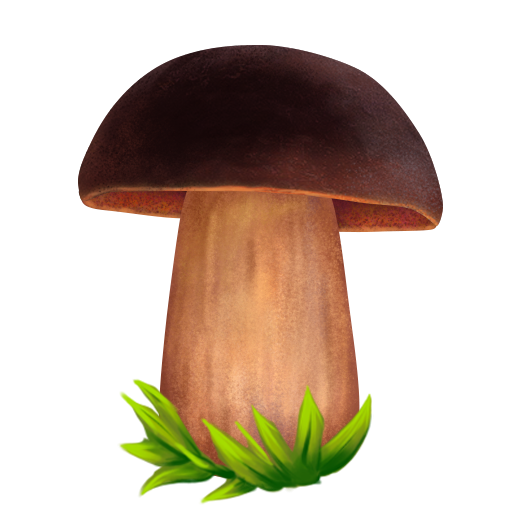 Гриб Боровик рисунок