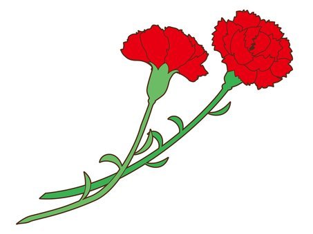 Гвоздики на окна