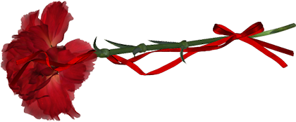 Цветы в память на прозрачном фоне