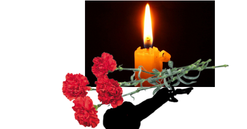 Светлая память гвоздики