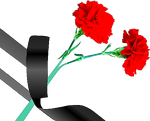 Гвоздики с траурной лентой