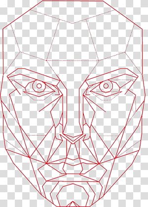 Стивен Марквардт маска красоты золотое сечение