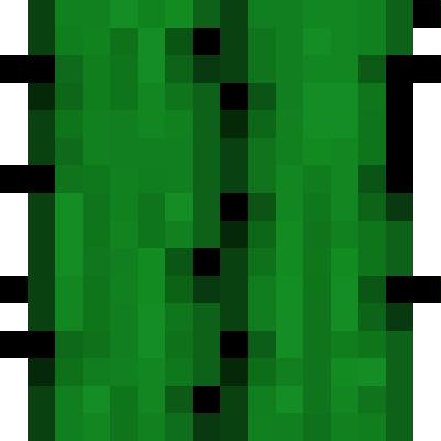 Текстура кактуса в МАЙНКРАФТЕ