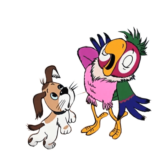 Попугай Кеша на белом фоне