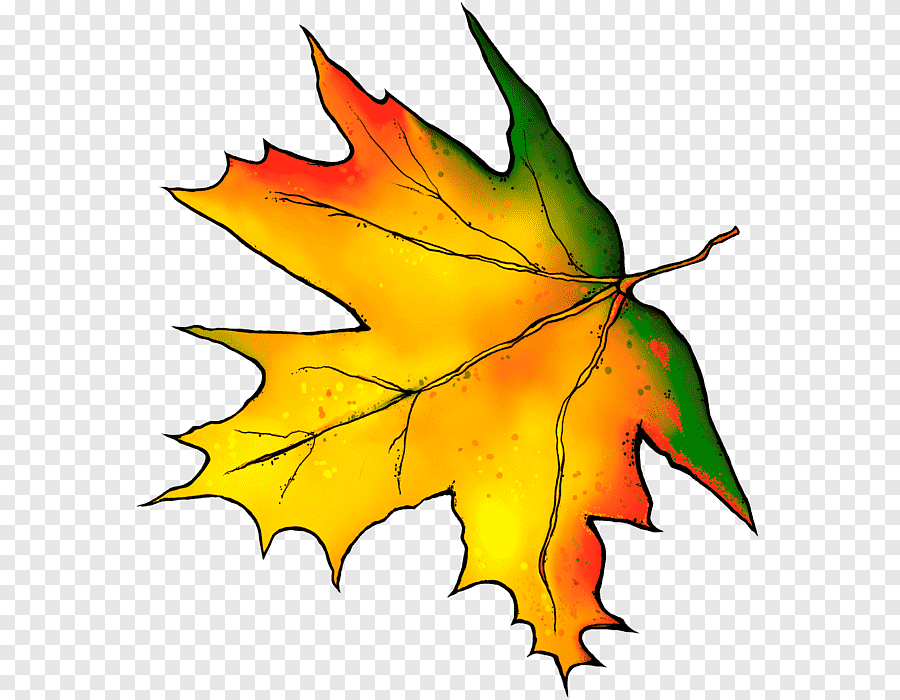 Осенний лист рисунок. Осенние листья. Осенний листок. Кленовый лист. Осенние листья картинки.