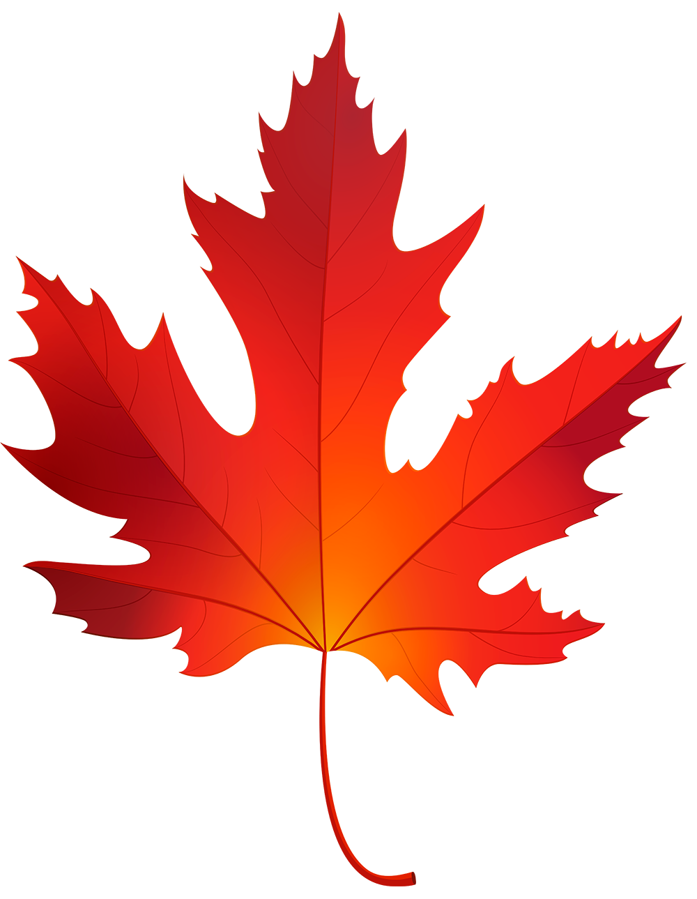 Клен картинки листьев. Maple кленовый лист. Листики осенние кленовые. Осенний кленовый лист. Осенний кленовый листок.