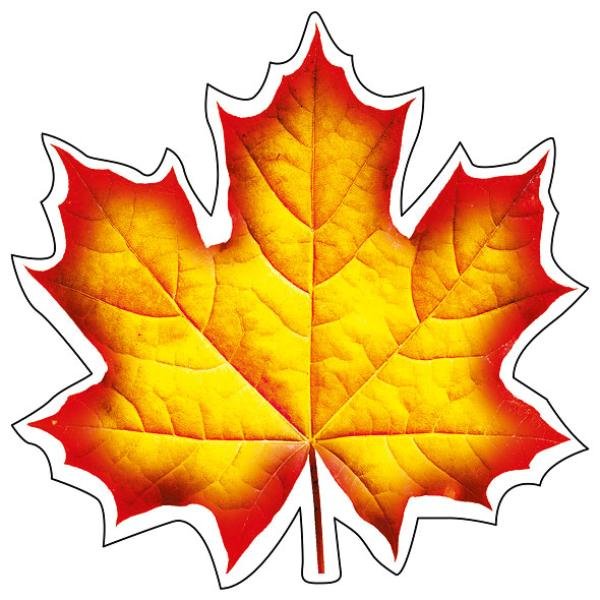 Кленовый лист двухсторонний