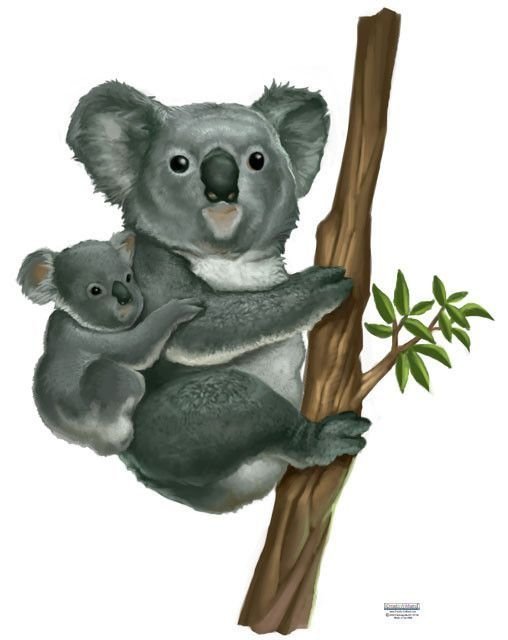 Сделай коалу. Коала. Коала с ребенком. Мультяшные коалы. Коала рисунок.