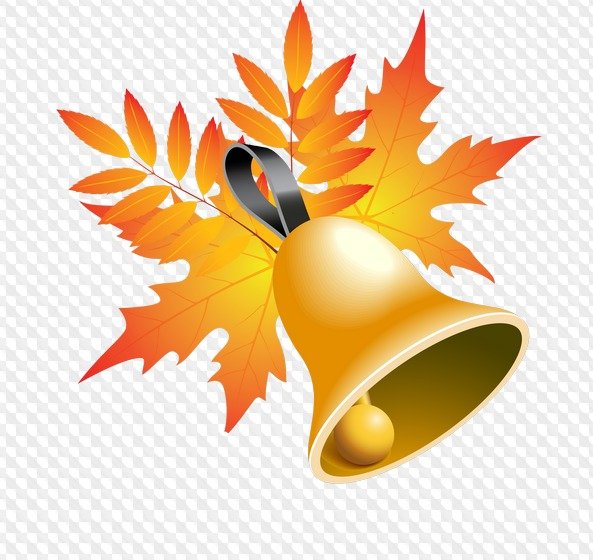 Колокольчик листья