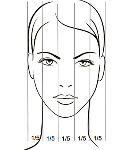 Пропорции лица