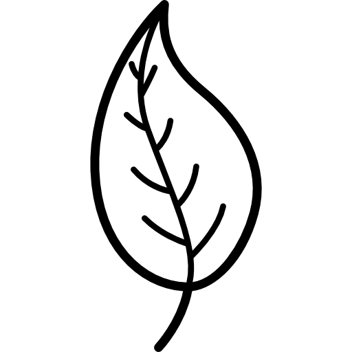 Силуэт дерева с листочками