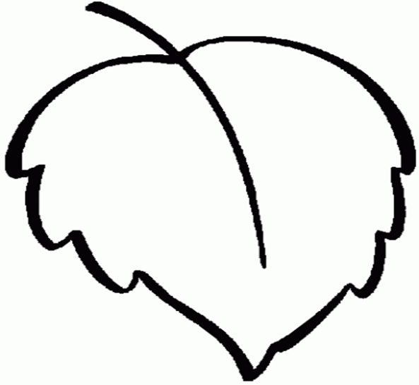 Березовый лист раскраска для детей. Лист контур. листочки деревьев. листок раскраска. рисунки листьев.
