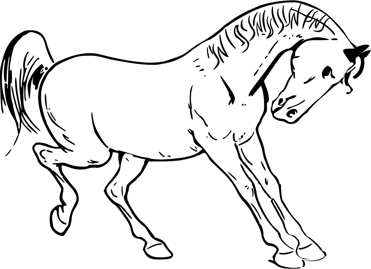 Лошадка черно белая. Раскраска. Лошади. Лошадь раскраска для детей. Лошадка рисунок. Лошадь контурный рисунок.