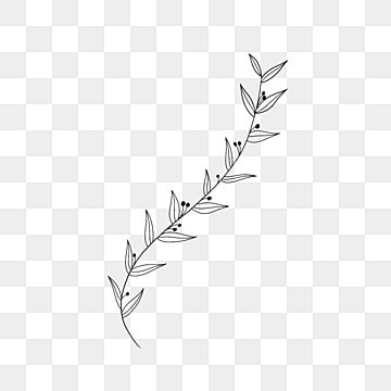 Ветка на белом фоне Минимализм