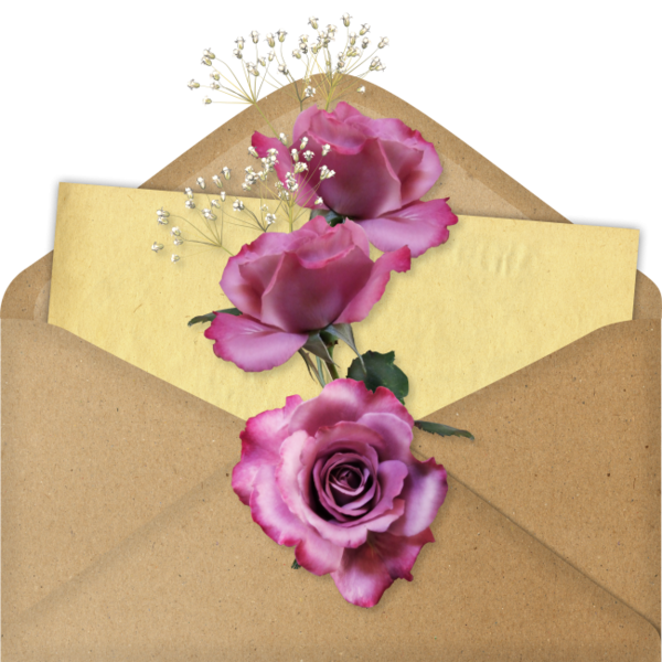 Прозрачный конверт для открыток