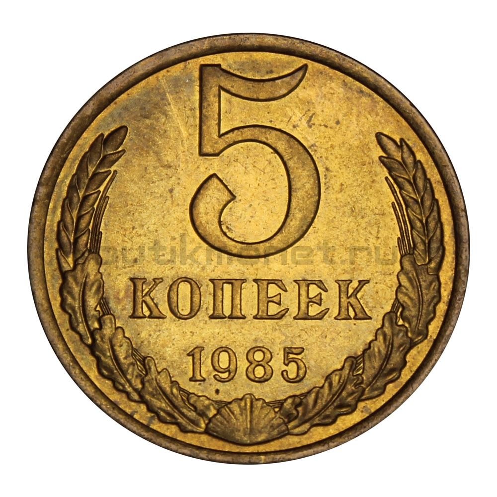 2 рубля 80 копеек. Монета 5 копеек 1985 k211203. 5 Копеек 1985. Монета 5 рублей без фона. Монета пять копеек 1985.