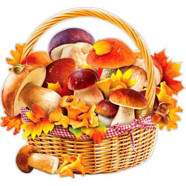 Корзинка с грибами на прозрачном фоне