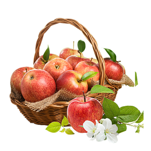 Яблочный спас на белом фоне