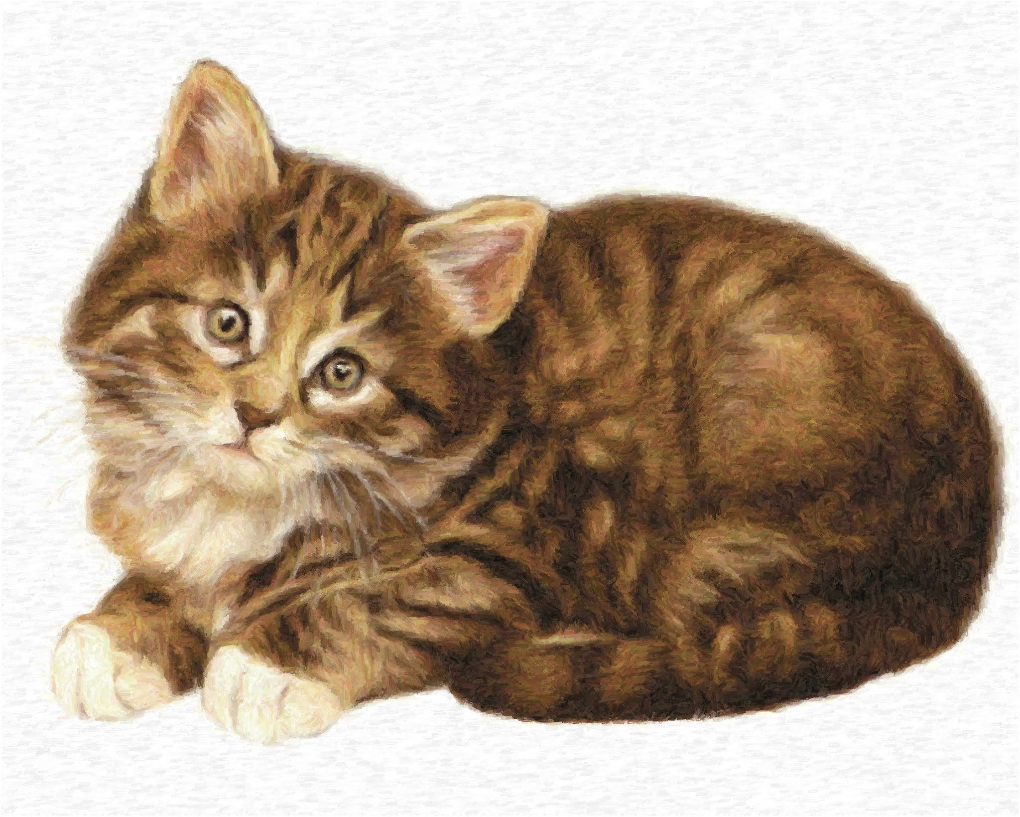 Котик детский. Кошка для детей. Котёнок-ребёнок. Изображение кошки для детей. Котенок картинка для детей на прозрачном фоне