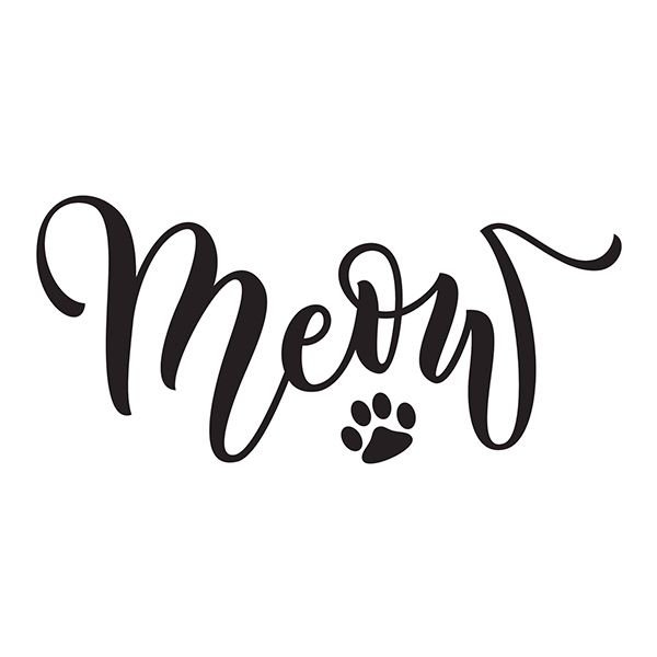 Meow леттеринг