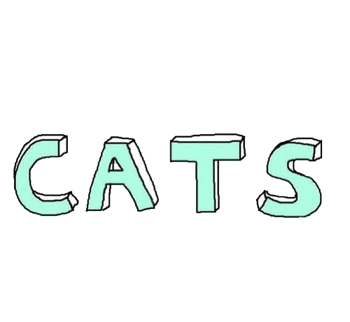 Кошки с надписями