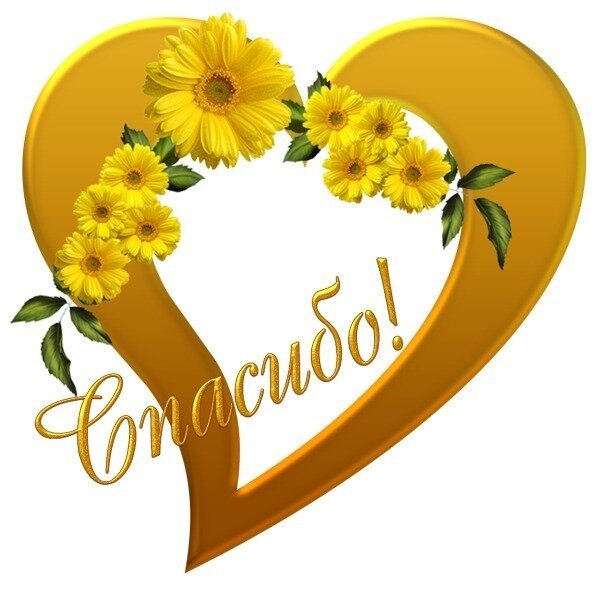 Благодарю на прозрачном фоне