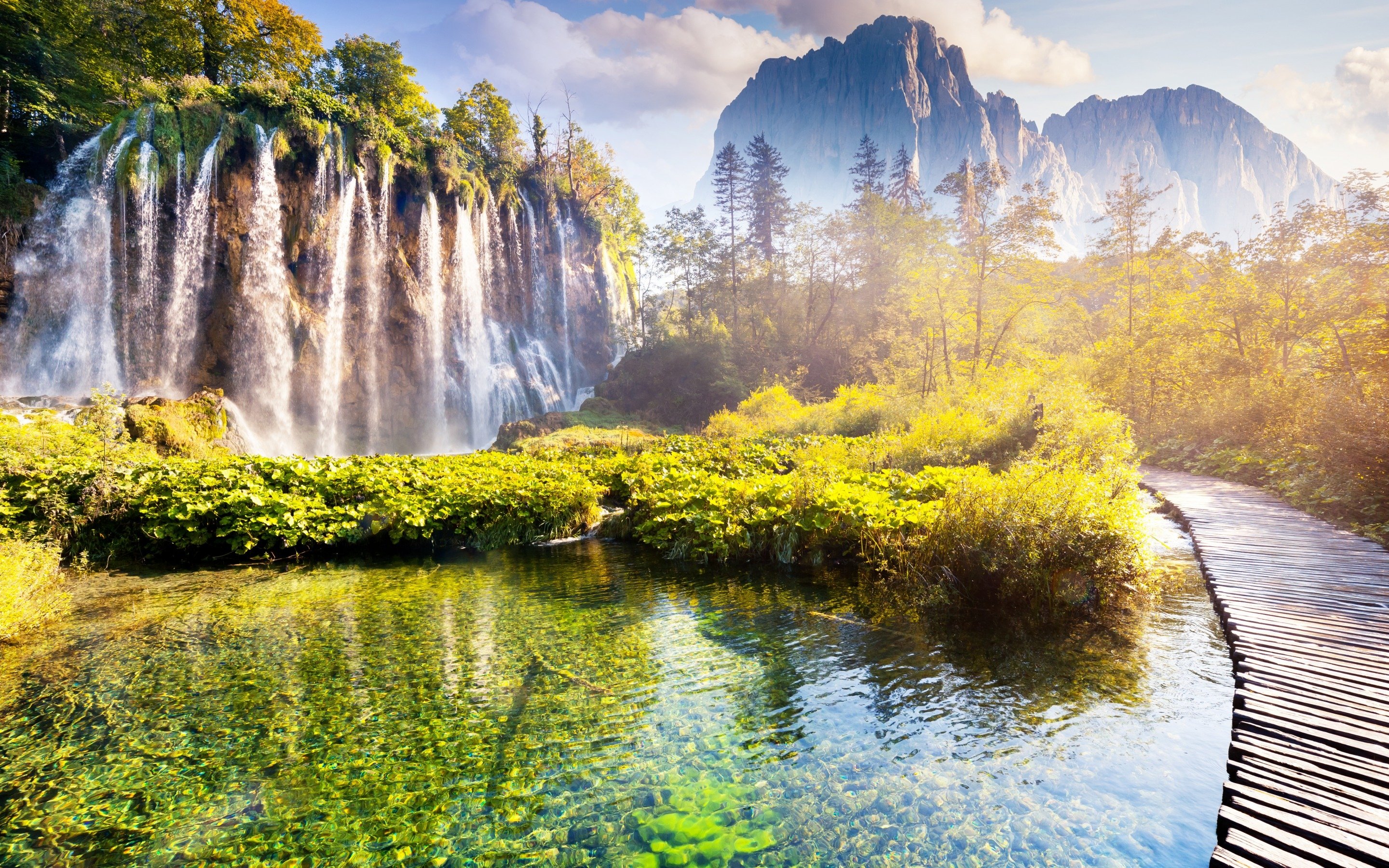 Обои на телефон самые красивые в мире. Хорватия парк Плитвицкие озёра. Плитвицкие озёра Хорватия осень. Плитвицкие озёра растения. Плитвицкие озера панорама.