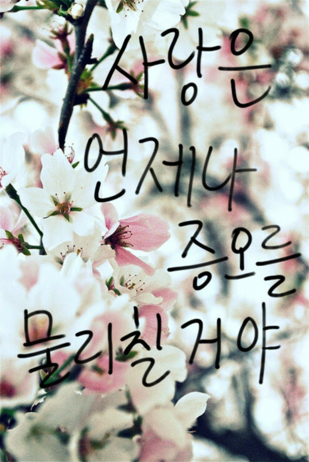 Даже если ты меня любишь на корейском. Красивые надписи на корейском. Цитаты на корейском. Милые корейские надписи. Корея надпись на корейском.