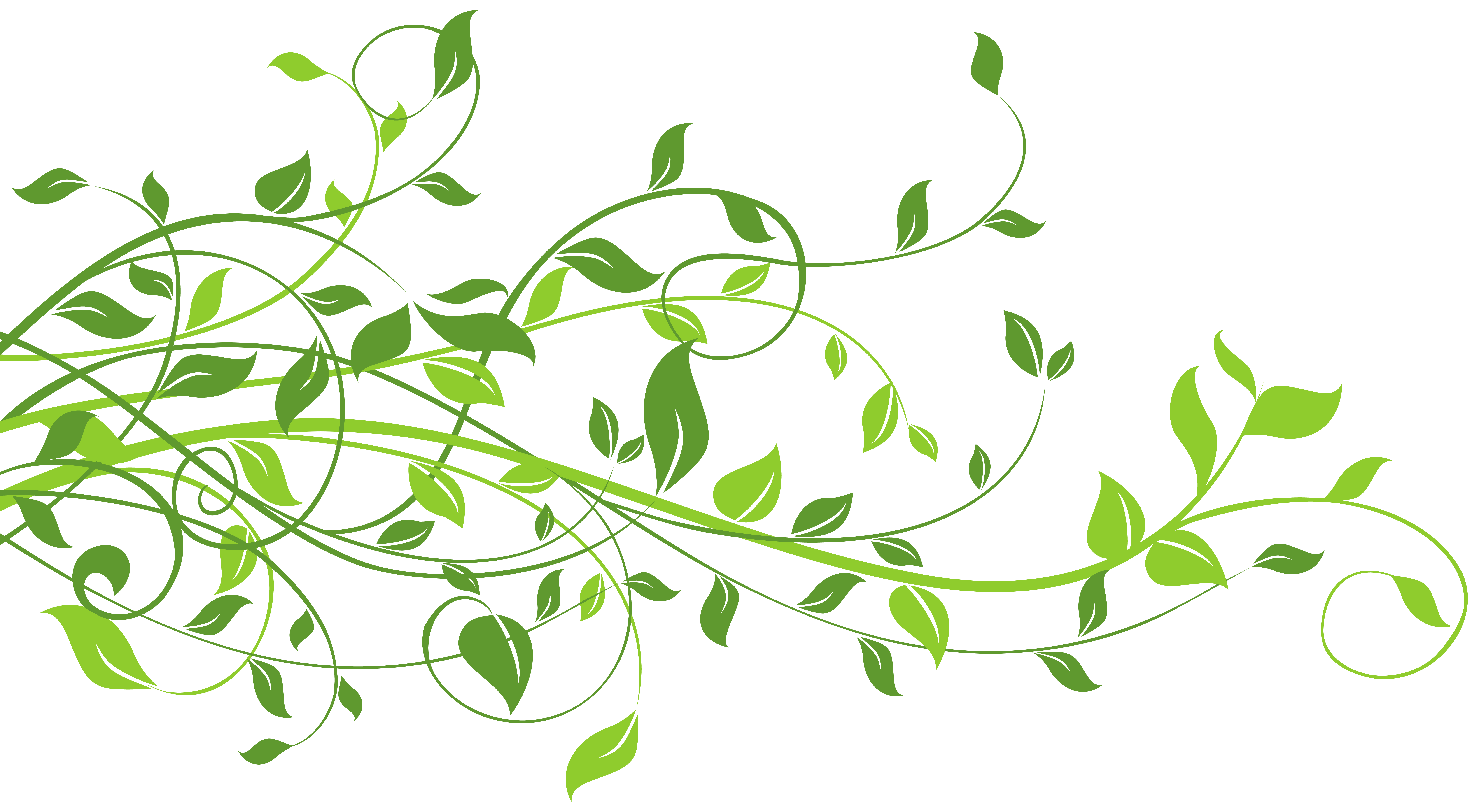 Растительный узор. Орнамент из растений. Красивые зеленые веточки. Красивая веточка. Растения картинки для презентации