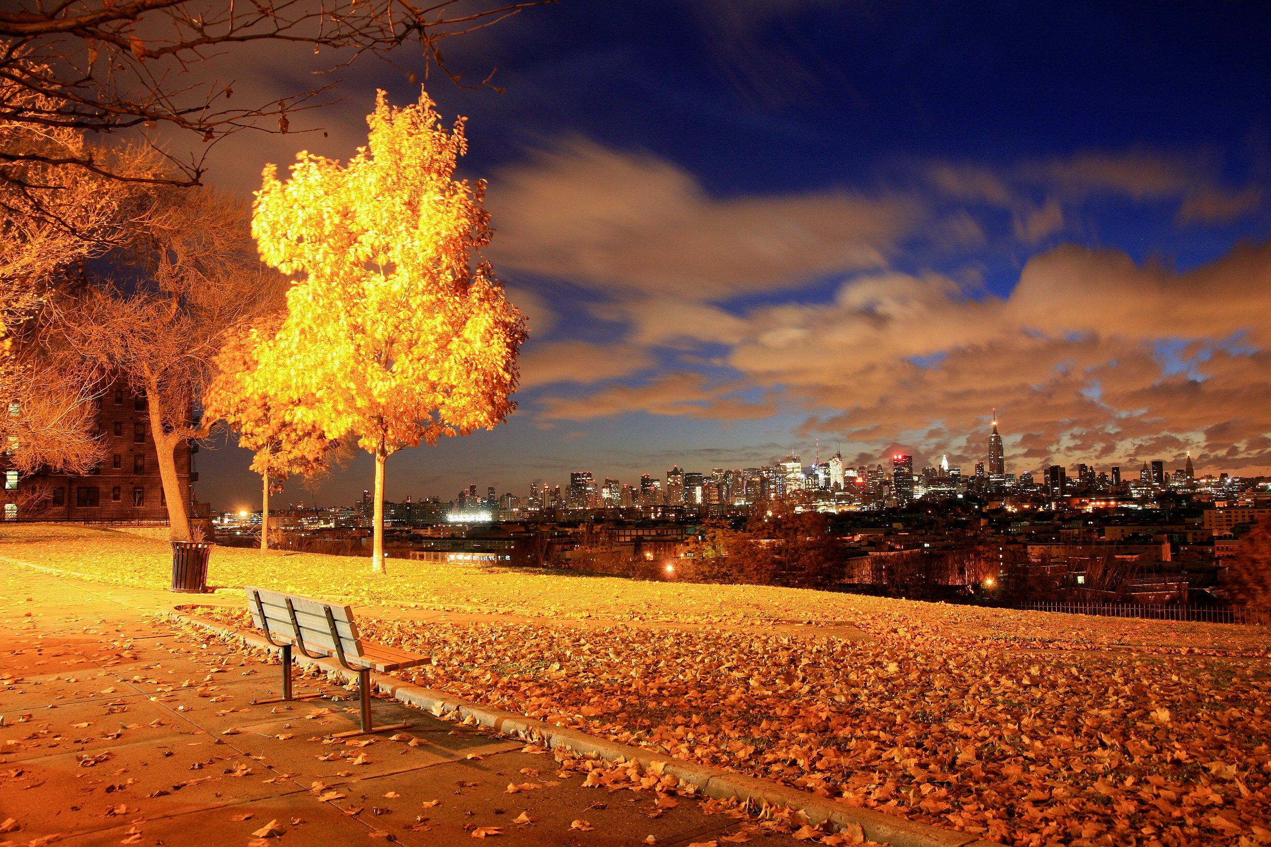 Осенний вечер октября. Парк Нью-Йорка осень вечер. Нью Йорк парк вечером. Осень в городе. Осенний город.