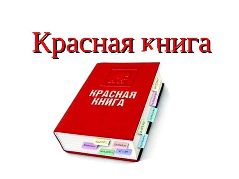 Пиши красная книга. Международная красная книга. Красный. Красная книга России. Международная красная книга обложка.