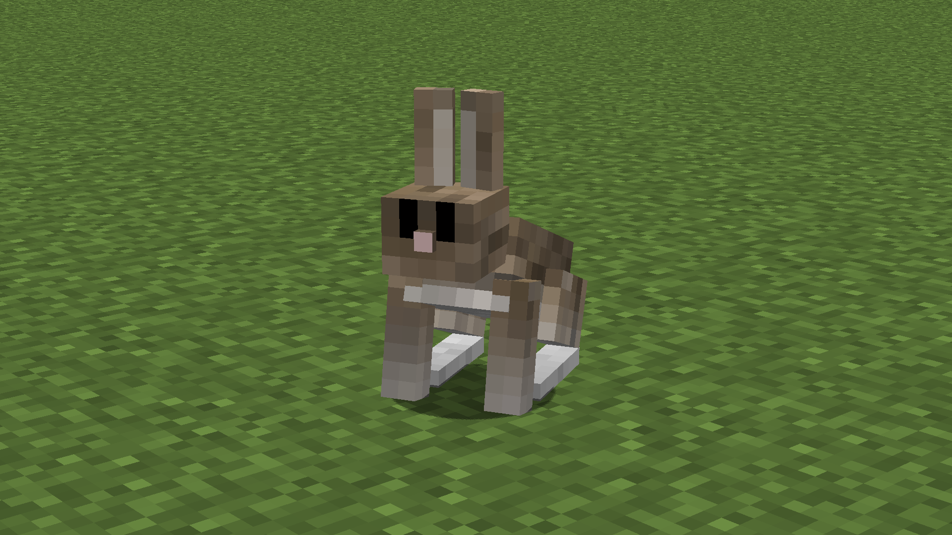 Канал кролик майнкрафт. Minecraft кролик. Кролик из МАЙНКРАФТА. Заяц в МАЙНКРАФТЕ. Пустынный кролик майнкрафт.