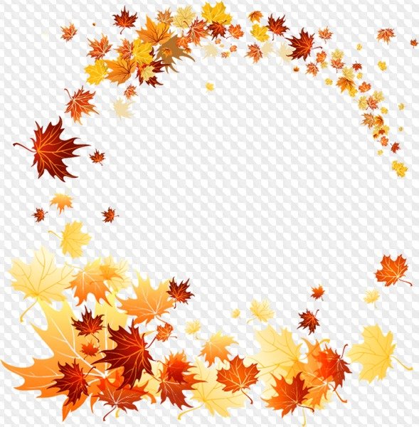 Рамка осенние листья на прозрачном фоне