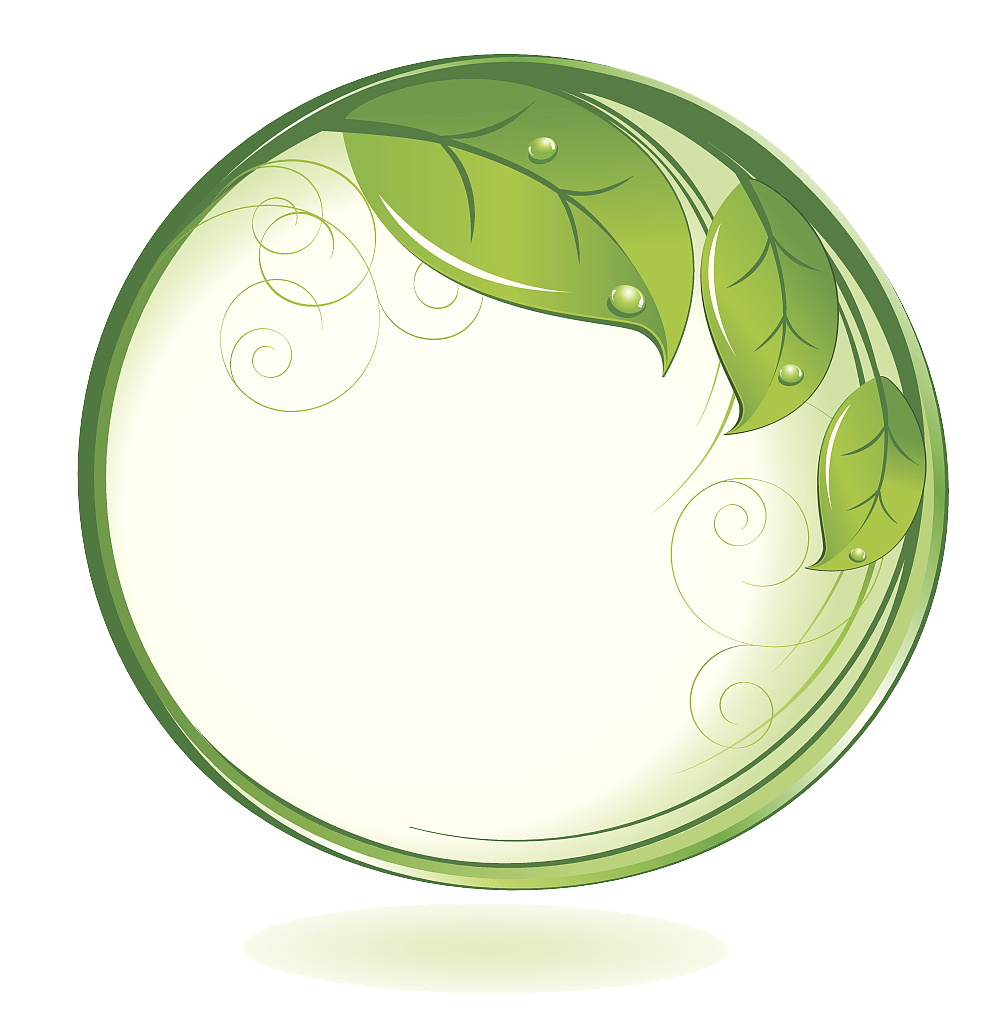 Круглая рамка для логотипа. Зеленая круглая рамка. Листья зеленые круглые. Зеленый круг.