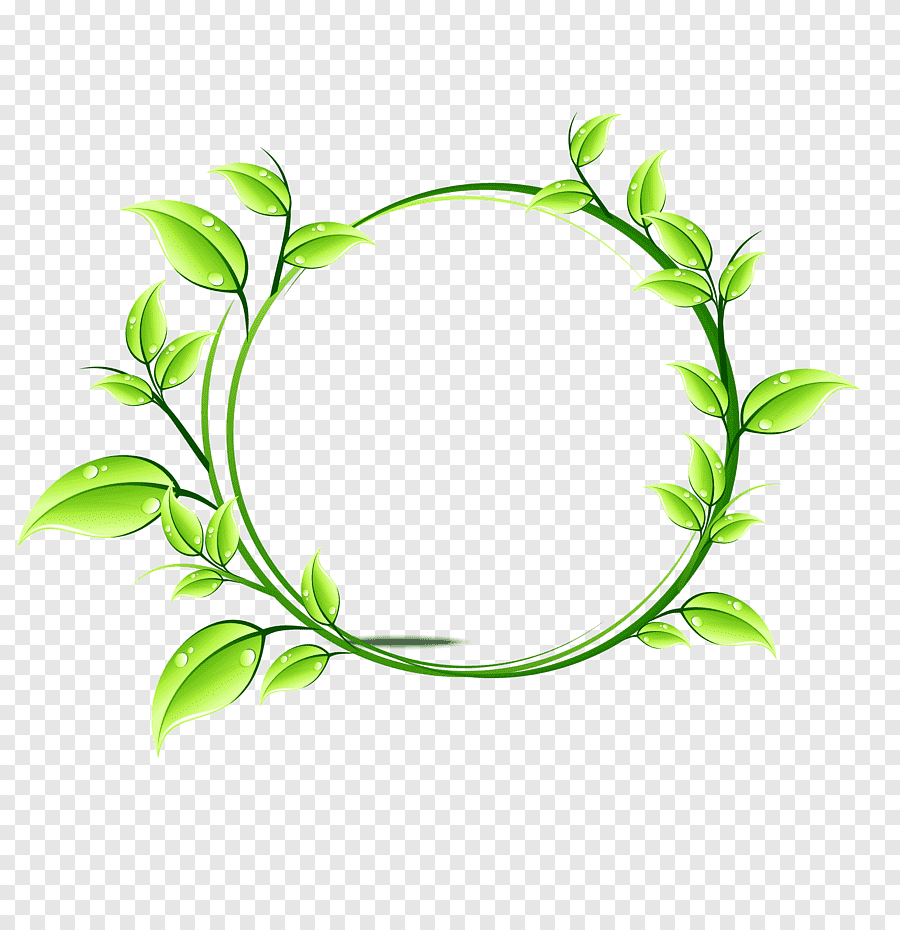 Круглая рамка. Листья по кругу. Зелень по кругу. Растения по кругу.