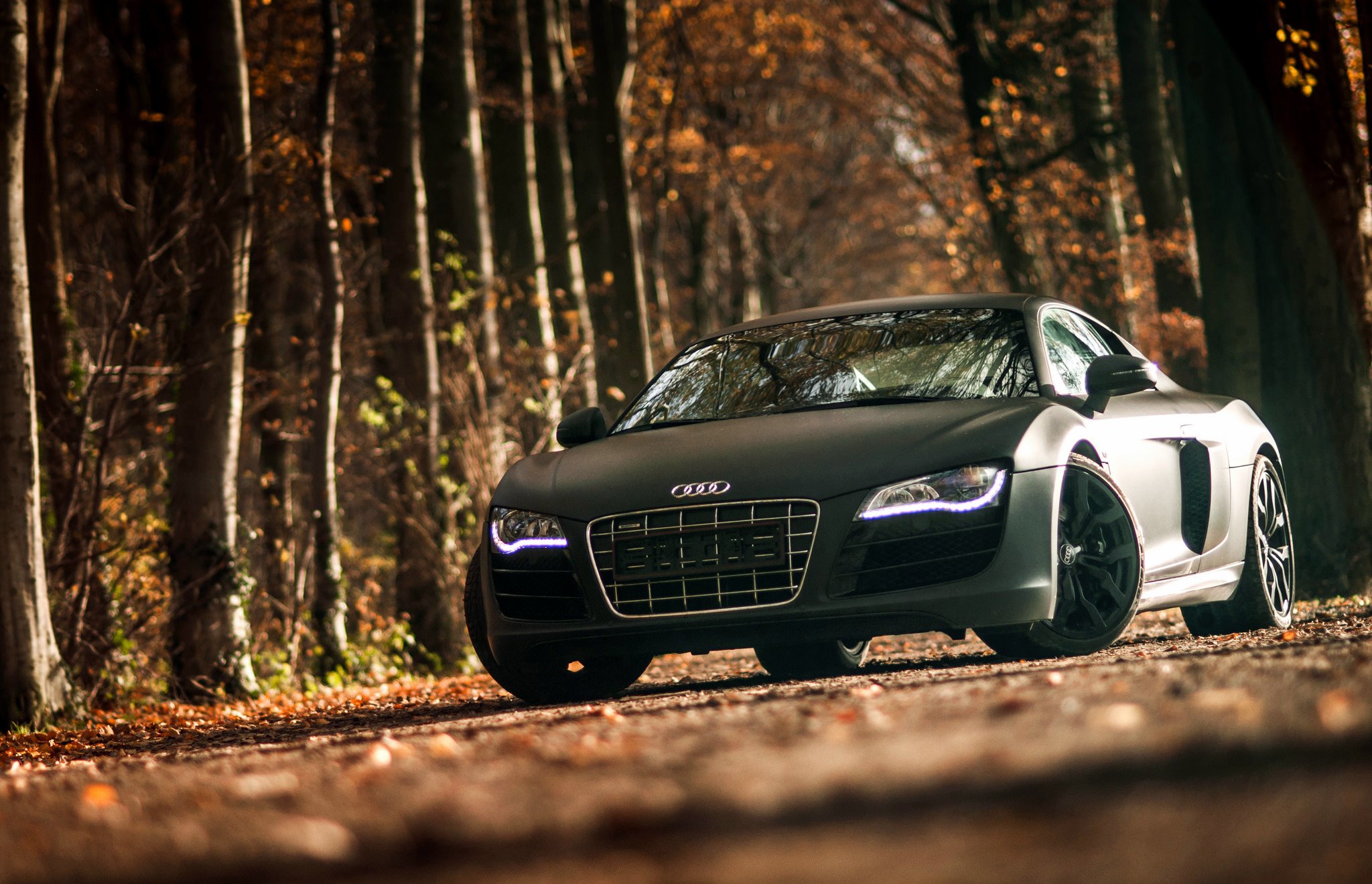 Обои на экран машины. Audi r8 1920 1080. Ауди р8 в лесу. Audi r8 v10 2020 Black. Audi r8 Full Black.